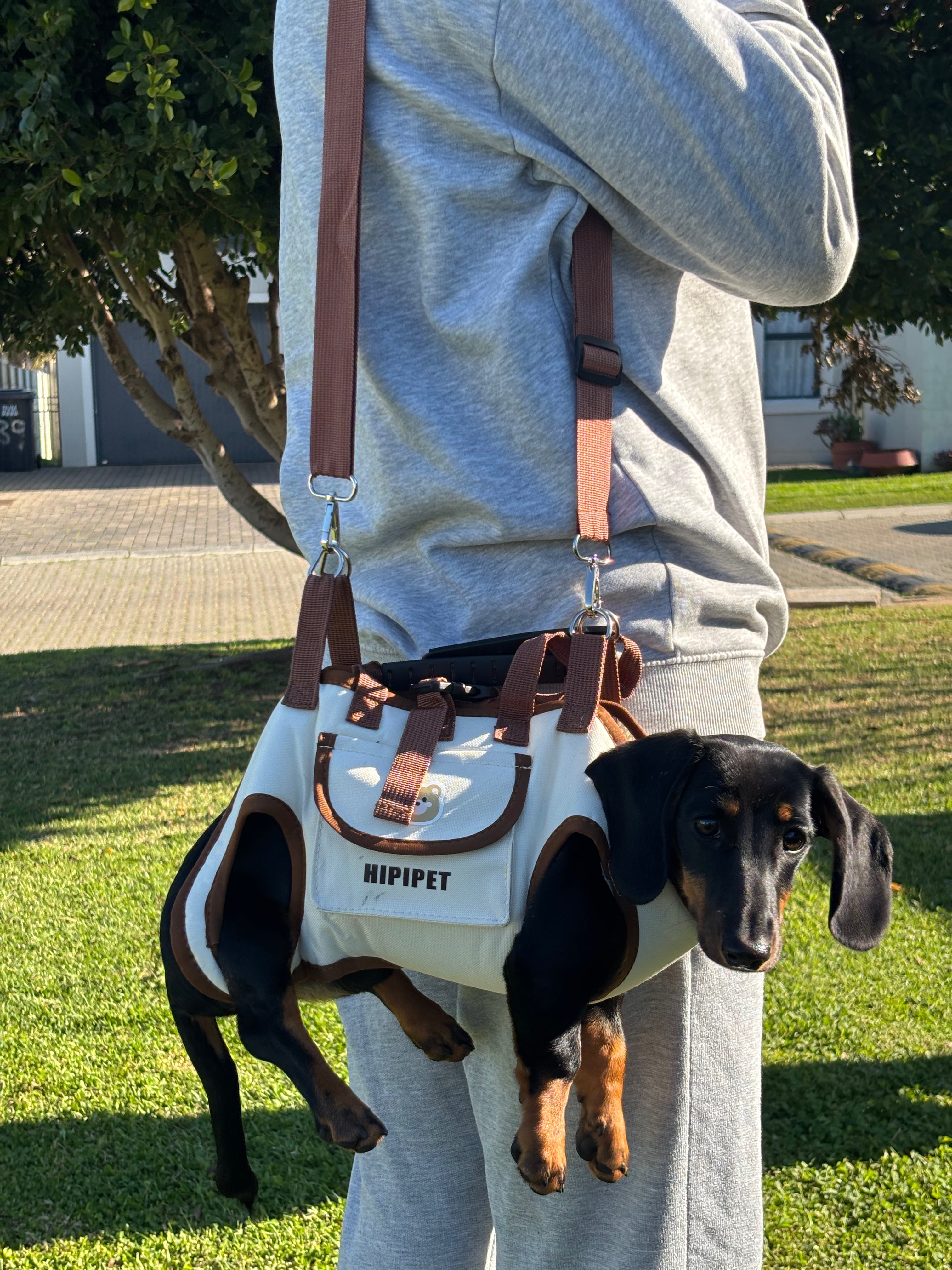 Hipipet portable pet carrier bag-strap